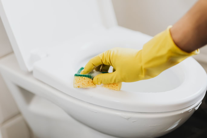 Looking for professional office  cleaner?